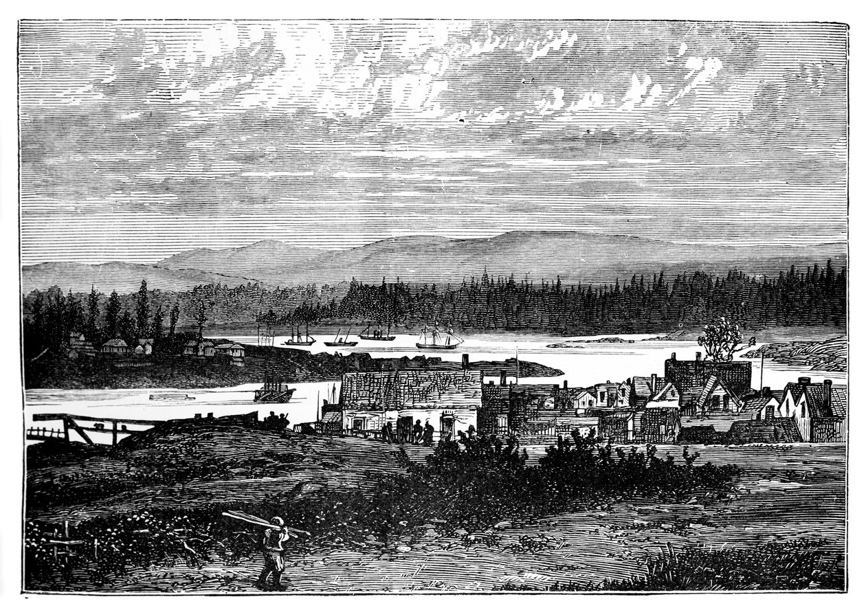 The Western Suburbs of Victoria, Vancouver Island, Canada, c1888 af Unbekannt