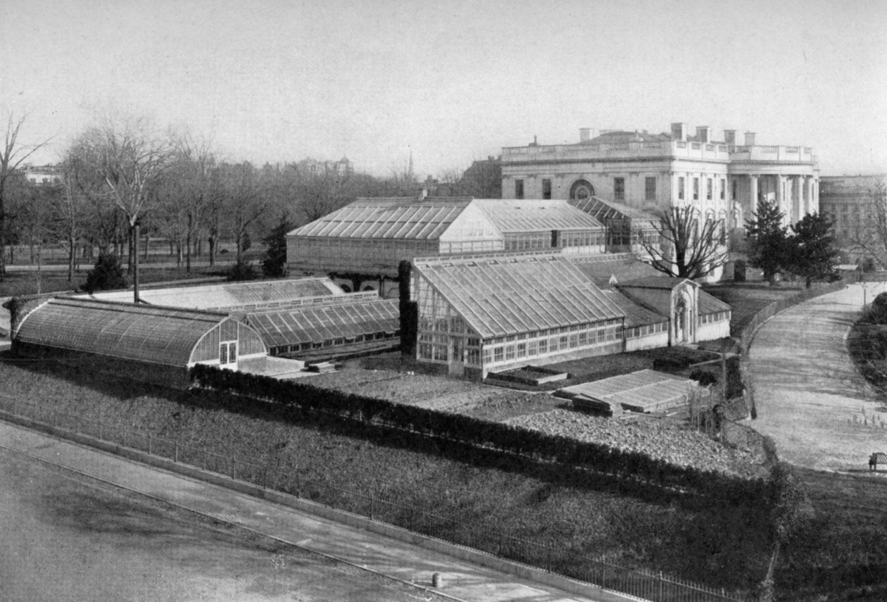 Det Hvide Hus og drivhuse, Washington DC, USA, 1908 af Unbekannt