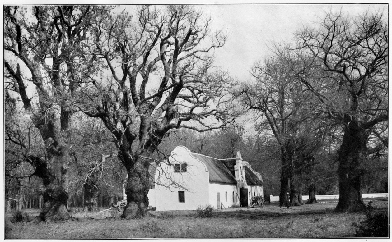 Kælderen på vingården Vergelegen, Sydafrika, 1931 af Unbekannt