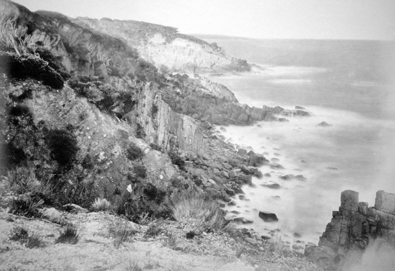 Kysten omkring Port Jackson, New South Wales, Australien, 1885 af Unbekannt