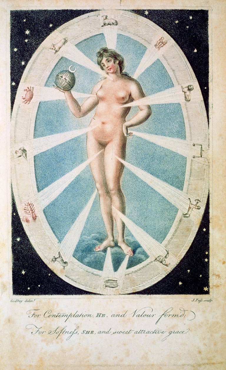 Den kvindelige form med astrologiske symboler, 1790 af Unbekannt