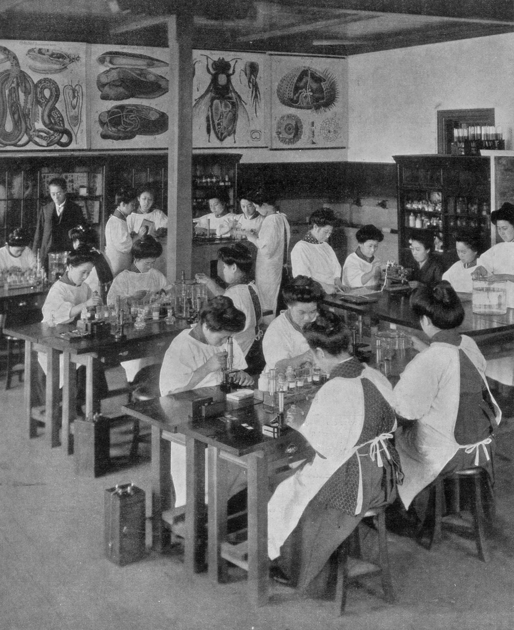Kvinders videregående uddannelse i Japan, 1910 af Unbekannt