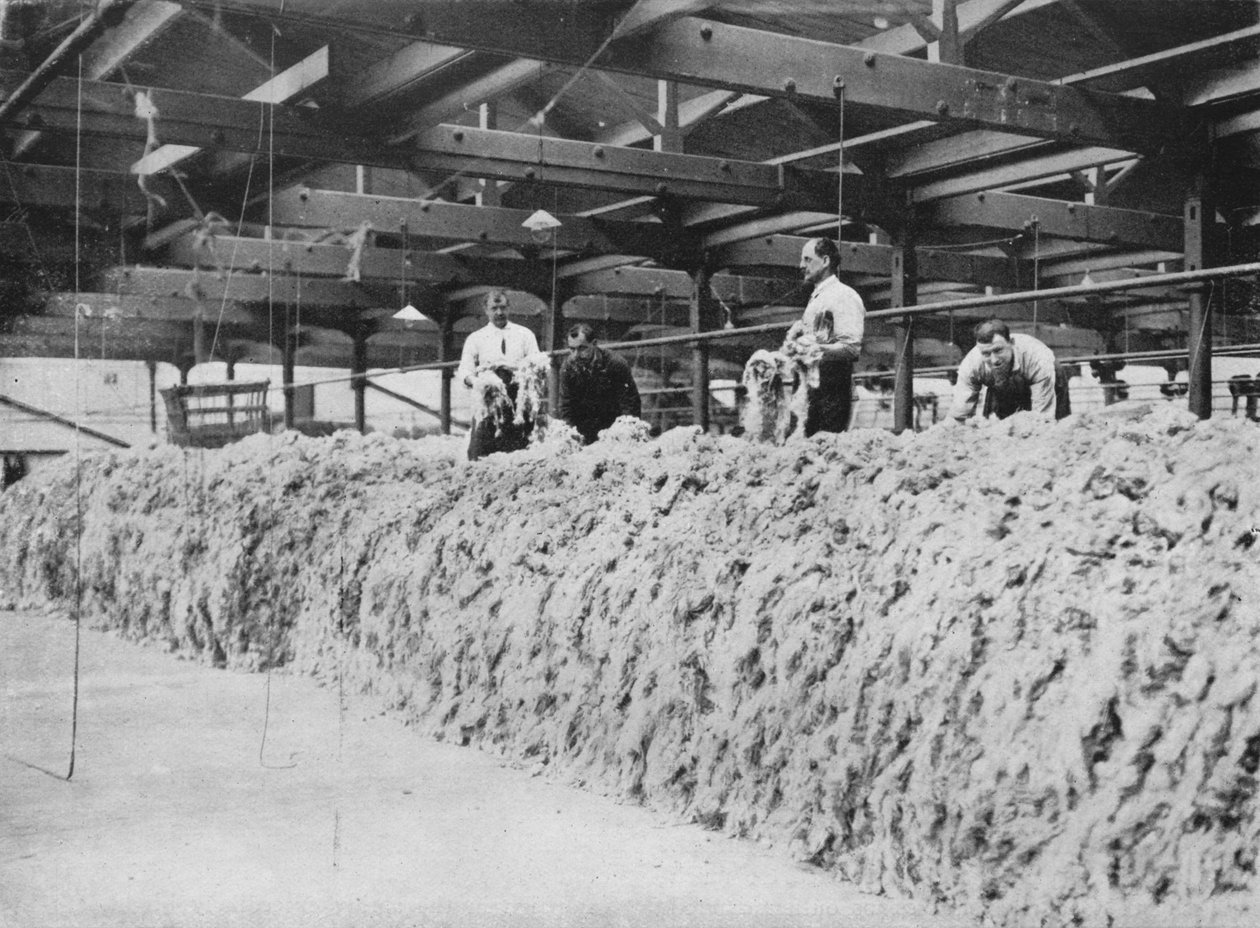 Fremstillingen af kaki - Uldblanding, 1915 af Unbekannt