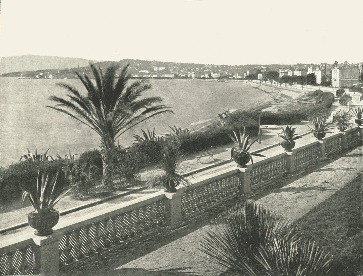 Panorama af La Croisette, Cannes, Frankrig, 1895. af Unbekannt
