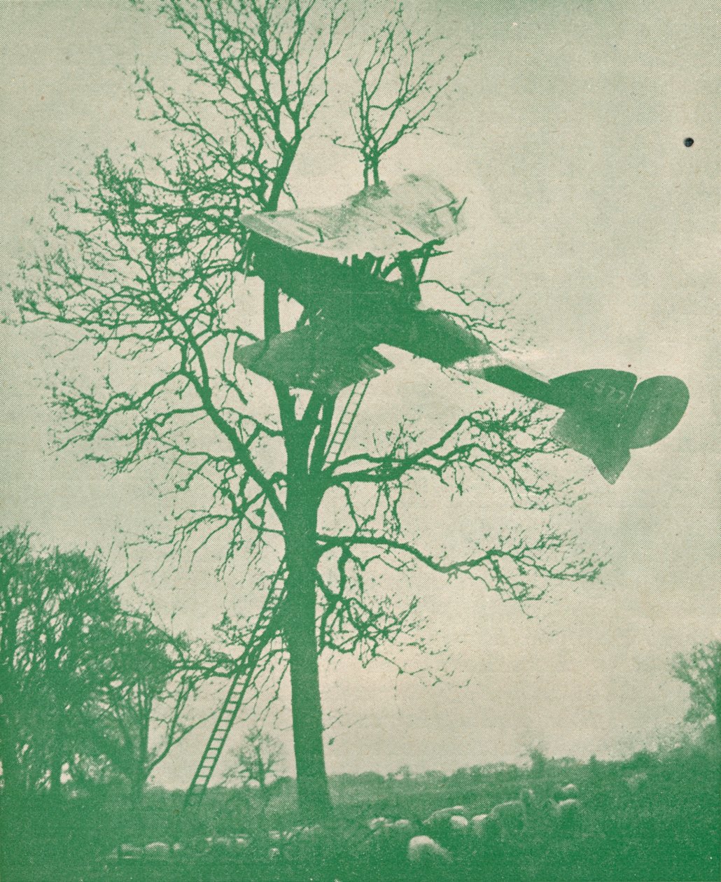 Risikoen ved natflyvning, c1918 1919 af Unbekannt