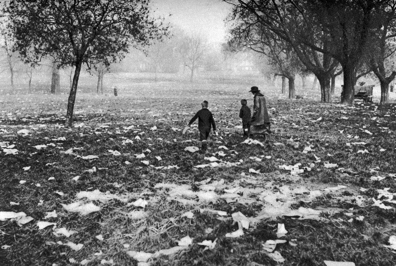 Affaldet efterladt på Hampstead Heath efter en helligdag, London, 1926-1927 af Unbekannt
