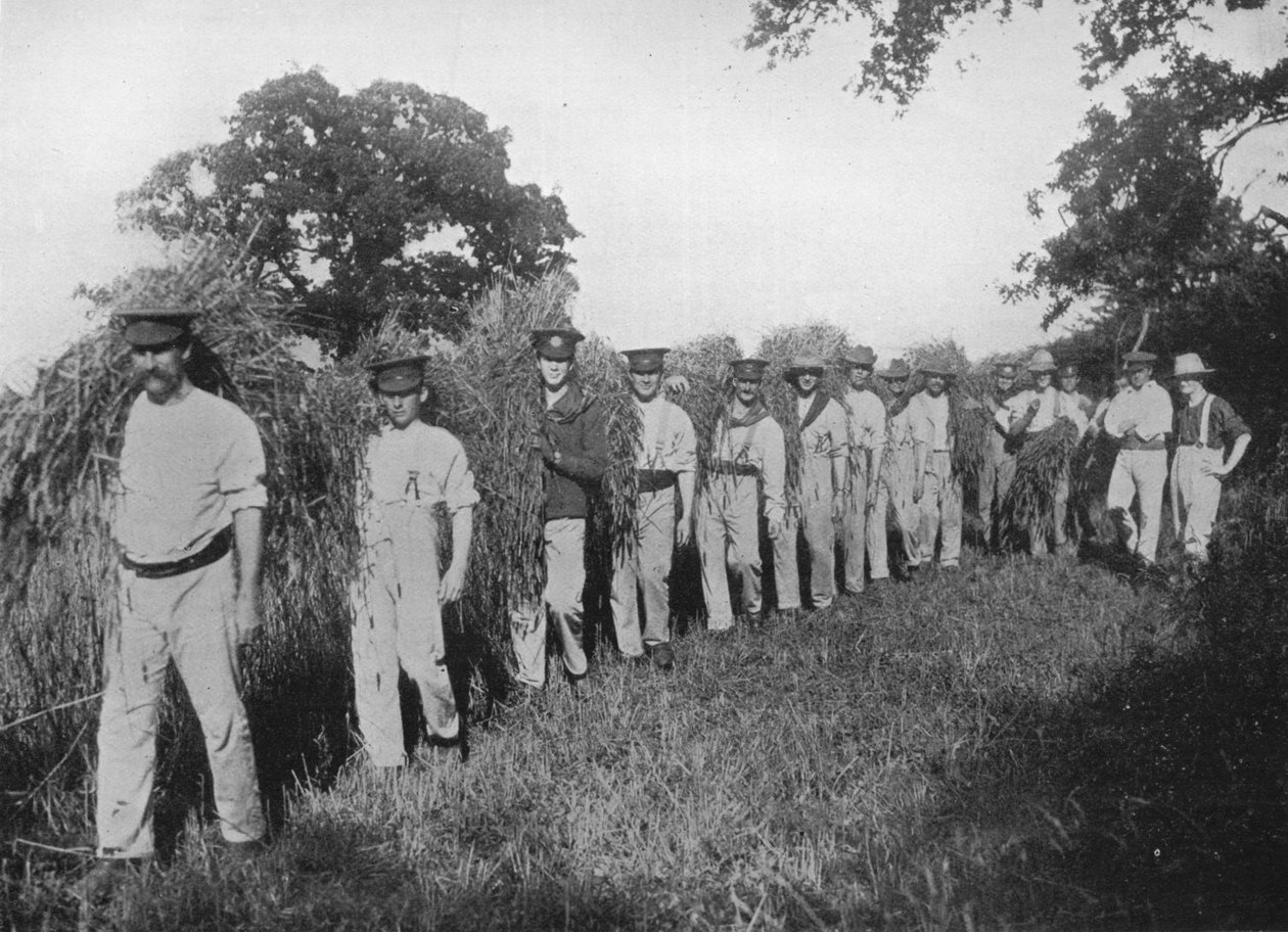 Manglen på landbrugsarbejdskraft: Soldater hjælper med høsten, 1915 af Unbekannt