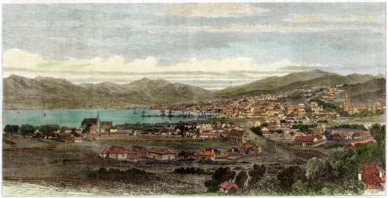 Byen og havnen i Wellington, New Zealands hovedstad, c1880 af Unbekannt