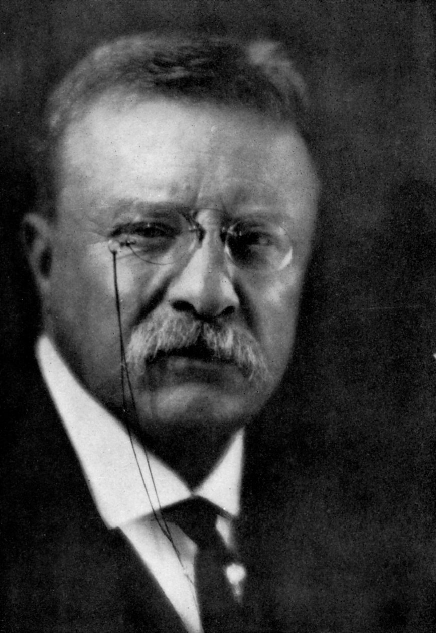 Theodore Roosevelt, USA