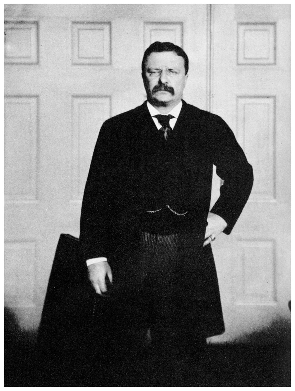 Theodore Roosevelt, USA