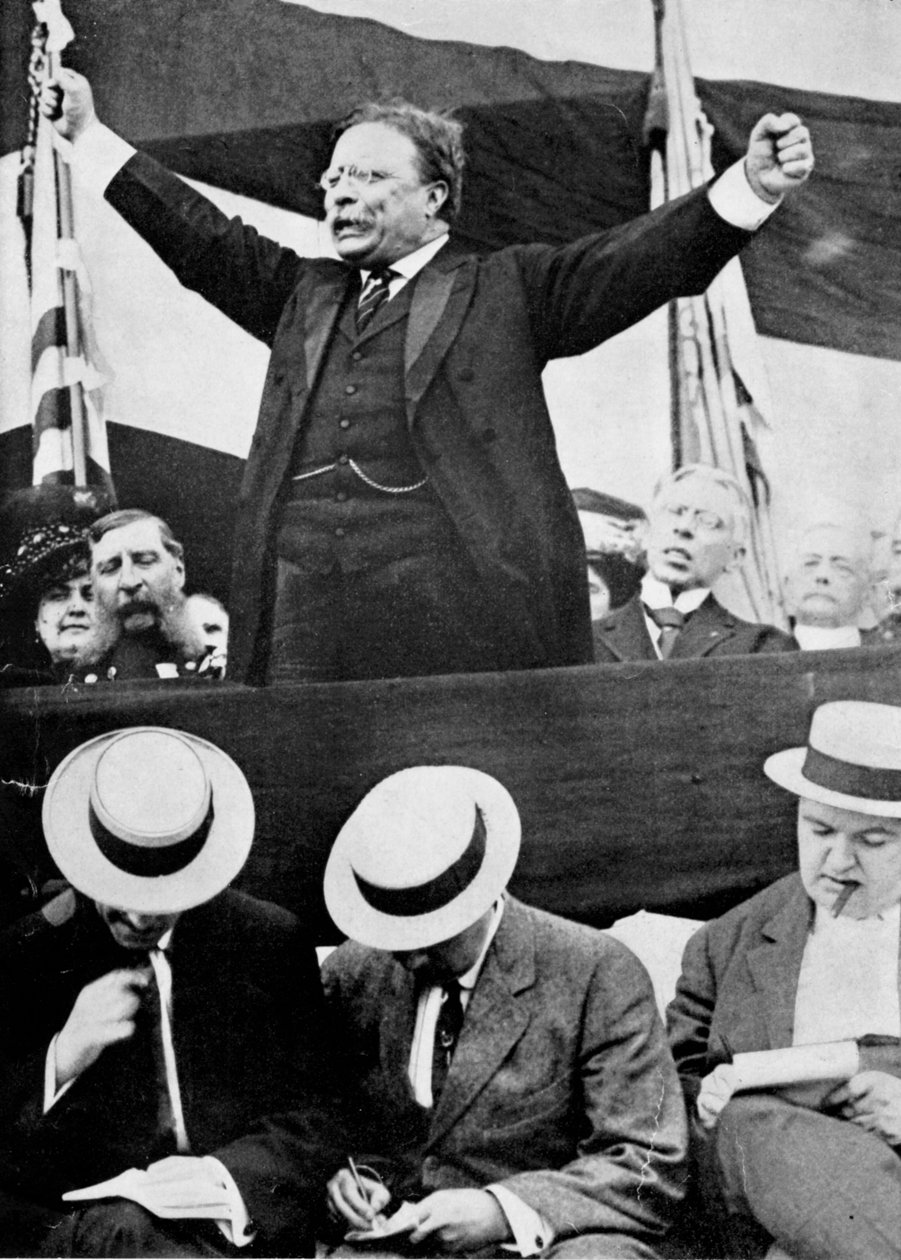 Theodore Roosevelt, amerikansk præsident, 1901-1909 af Unbekannt