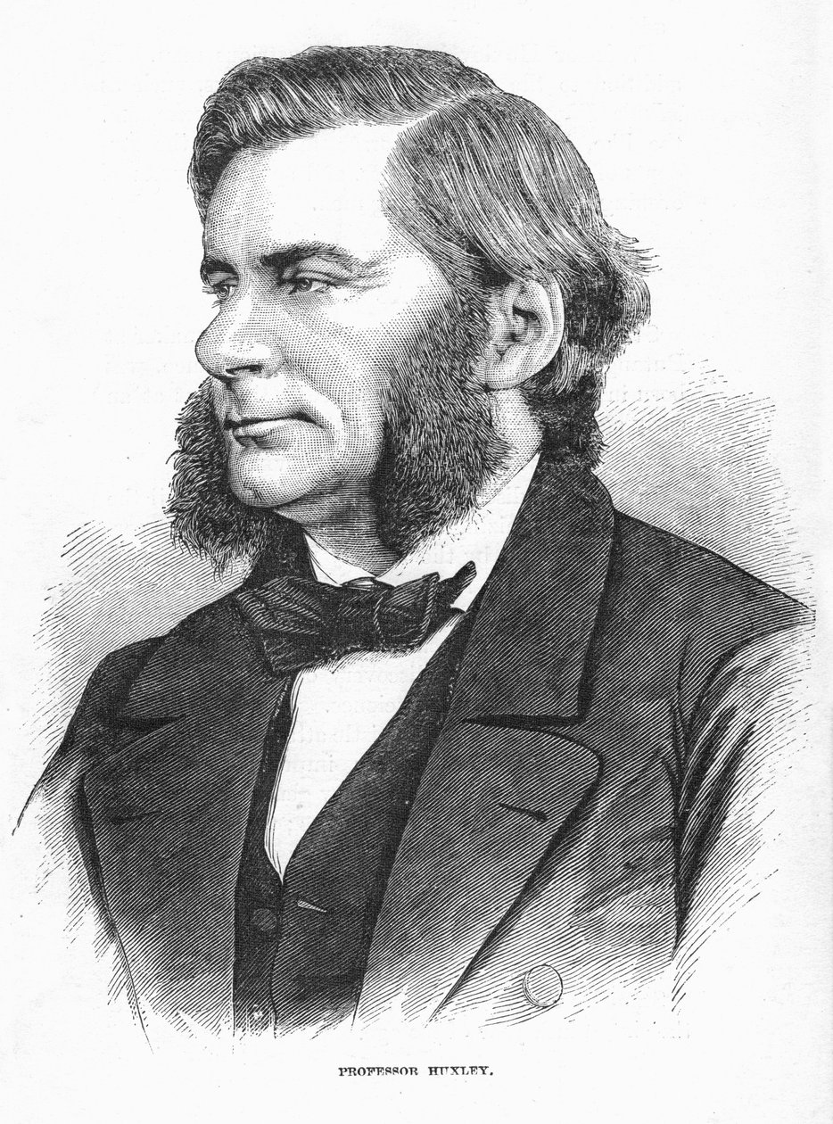 Thomas Henry Huxley, britisk biolog, c1860