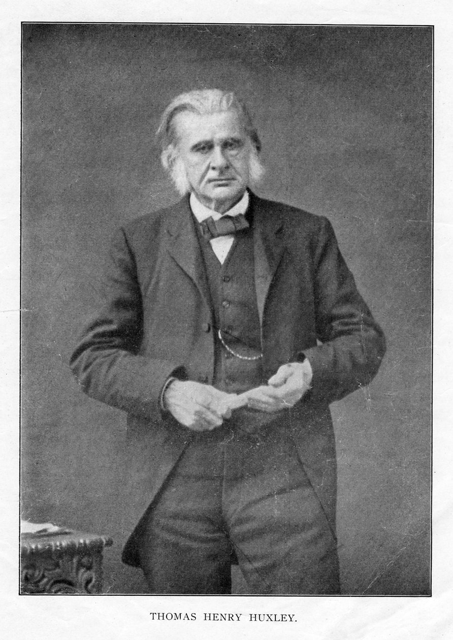 Thomas Henry Huxley, britisk biolog, c1870