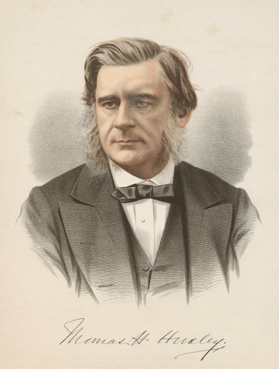 Thomas Henry Huxley, engelsk biolog, c1880 af Unbekannt