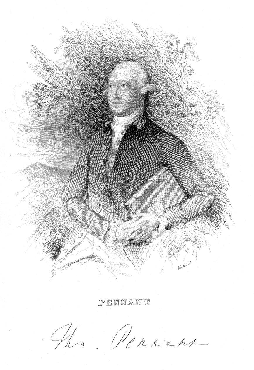 Thomas Pennant, britisk naturforsker og rejsende fra det 18. århundrede, c1840 af Unbekannt