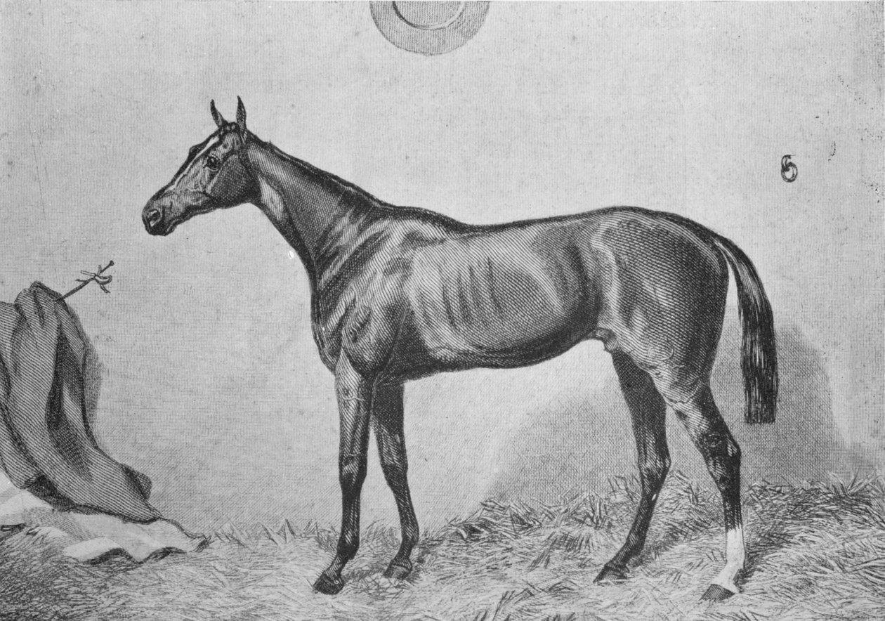 Thormanby, c1860, 1911 af Unbekannt