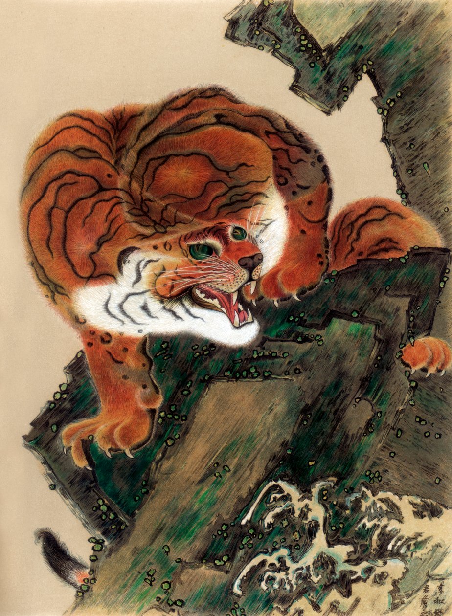 Tiger fra livet, 1803 1886 af Unbekannt
