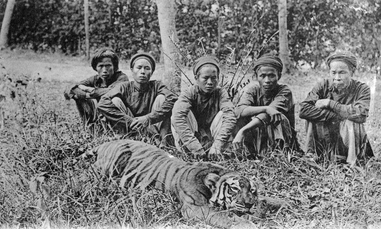 Tigerjægere, Tonkin, Vietnam, 20. århundrede af Unbekannt