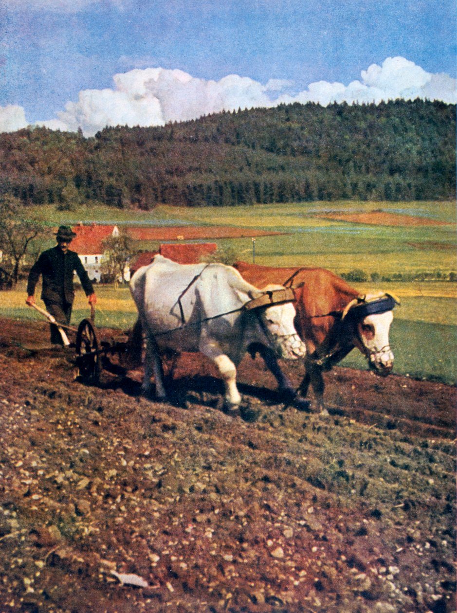 Tilling, Tyskland, 1943 af Unbekannt