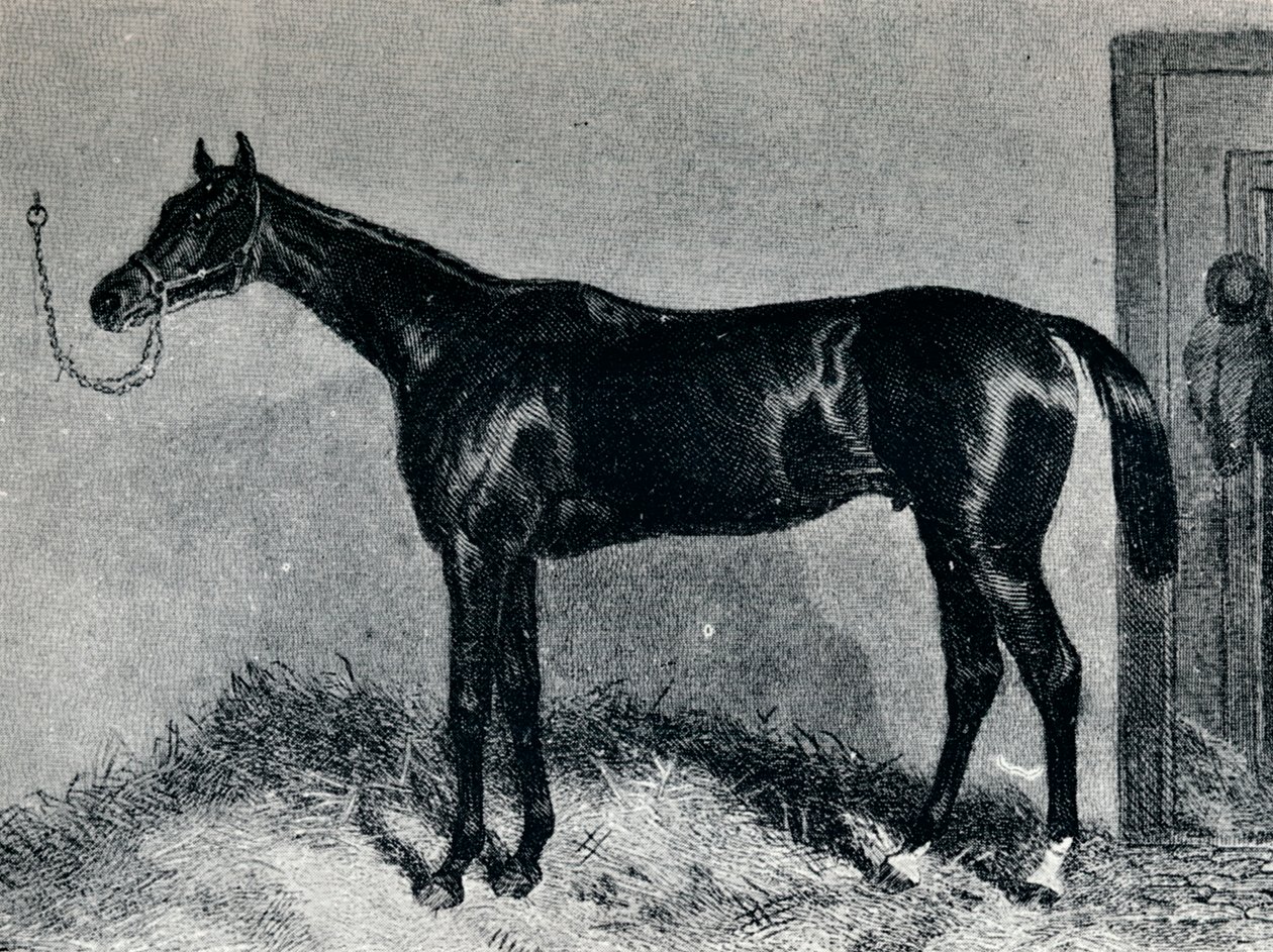 Tim Whiffler, c1860