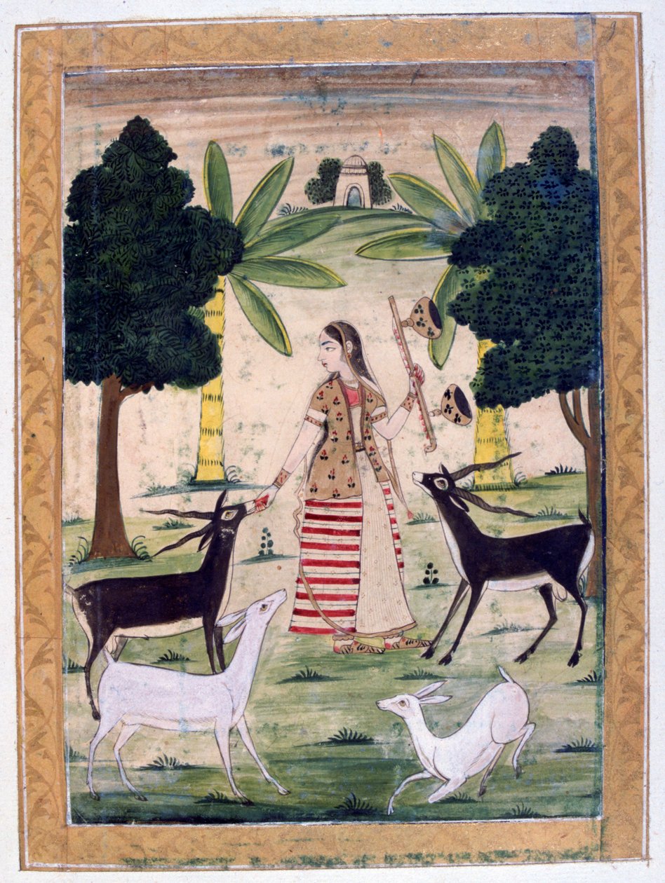 Todi Ragini, Ragmala Album, School of Rajasthan, 19. århundrede af Unbekannt