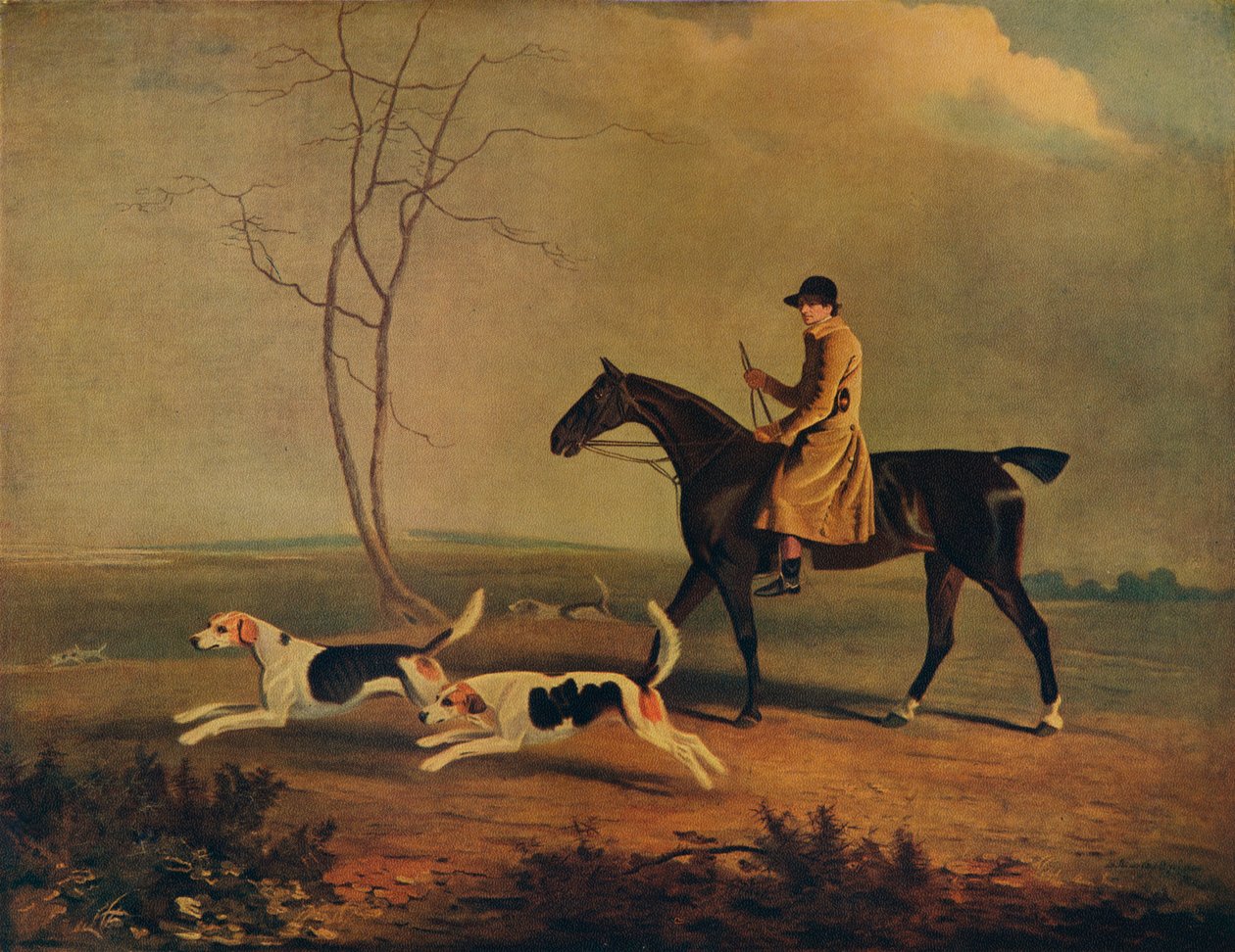 Tom Oldaker, Huntsman of the Berkley Hounds, på Pickle, med hundene, 1800, 1929 af Unbekannt