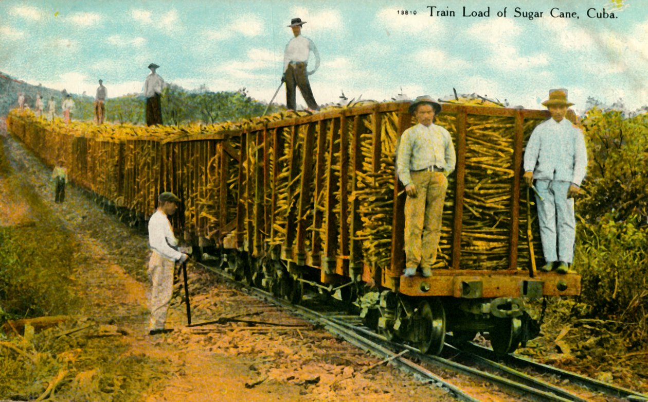 Toglast af sukkerrør, Cuba, c1910