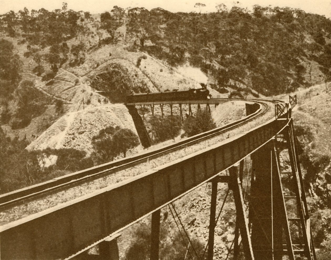 Tog passerer over viadukten, Mount Lofty Range, South Australia, 1930. af Unbekannt