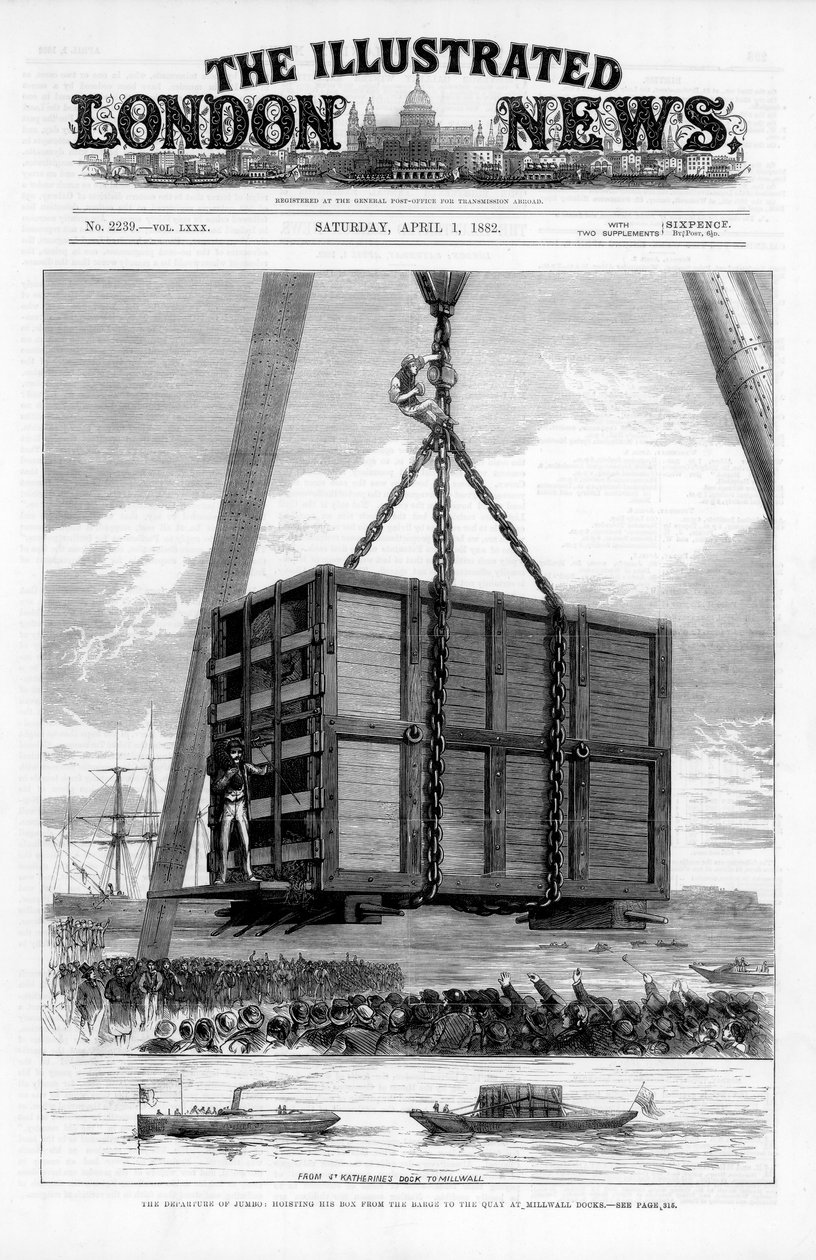 Transport af den afrikanske elefant Jumbo til Amerika, 1882 af Unbekannt