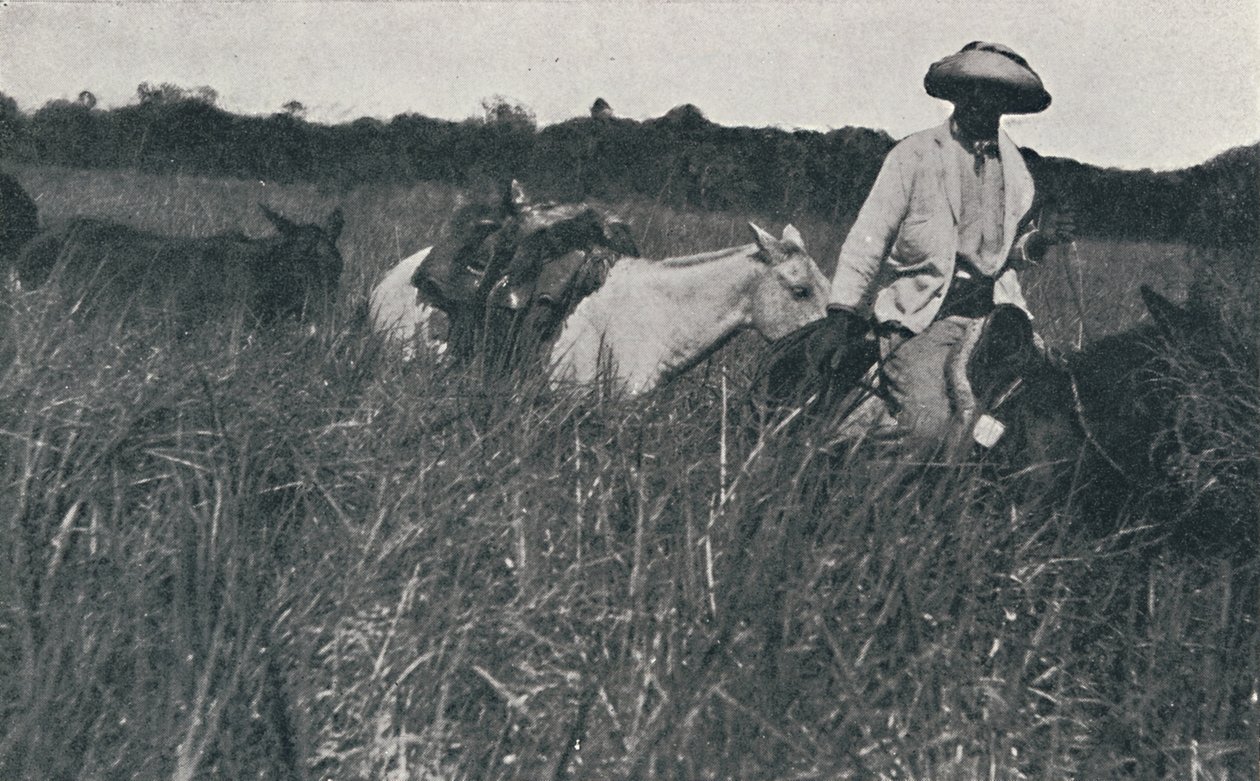 Rejse på Pampas, 1916 af Unbekannt