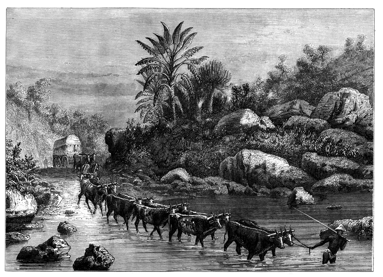 Rejser i Griqualand, Sydafrika, c1890 af Unbekannt