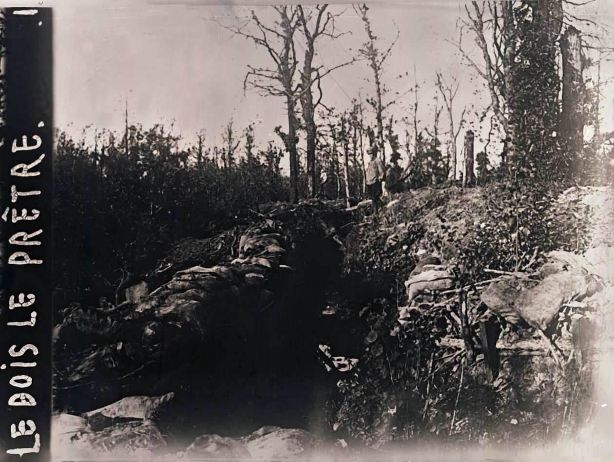 Skyttegrave, Bois-le-Prêtre, Lorraine, Nordfrankrig, c1914-c1918 af Unbekannt