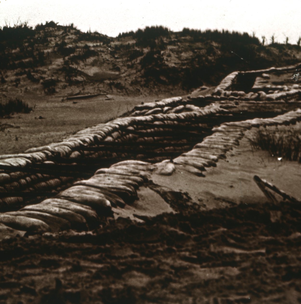 Skyttegrave i ly af klitterne, Nieuwpoort, Flandern, Belgien, c1914-c1918 af Unbekannt