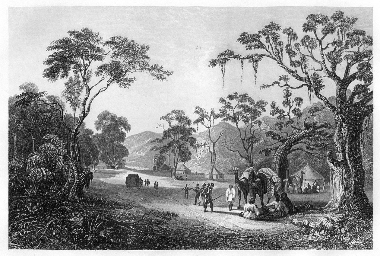 Tropper slog lejr ved indgangen til Keree-passet, nord for Meerut, Indien, c1860 af Unbekannt