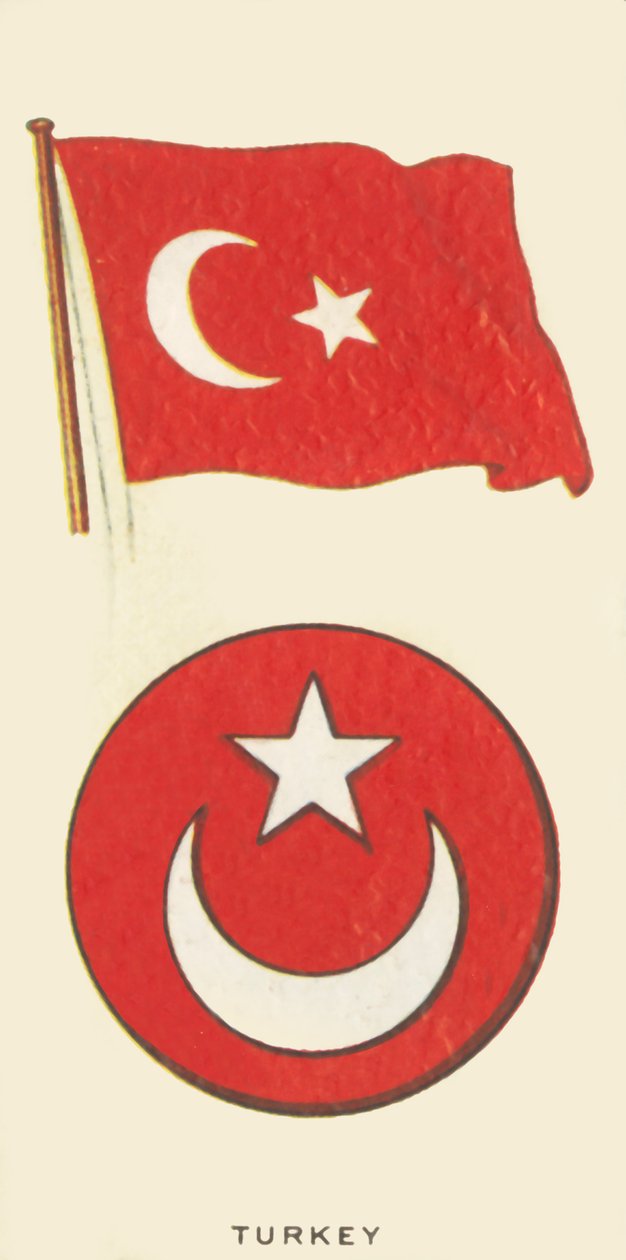 Tyrkiet, c1935. af Unbekannt