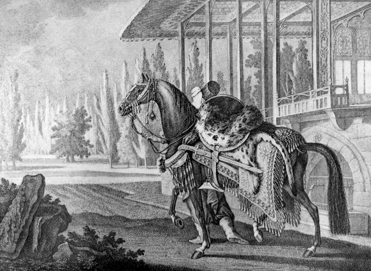 Tyrkisk Pashas Arabisk hack, 1722 1938 af Unbekannt