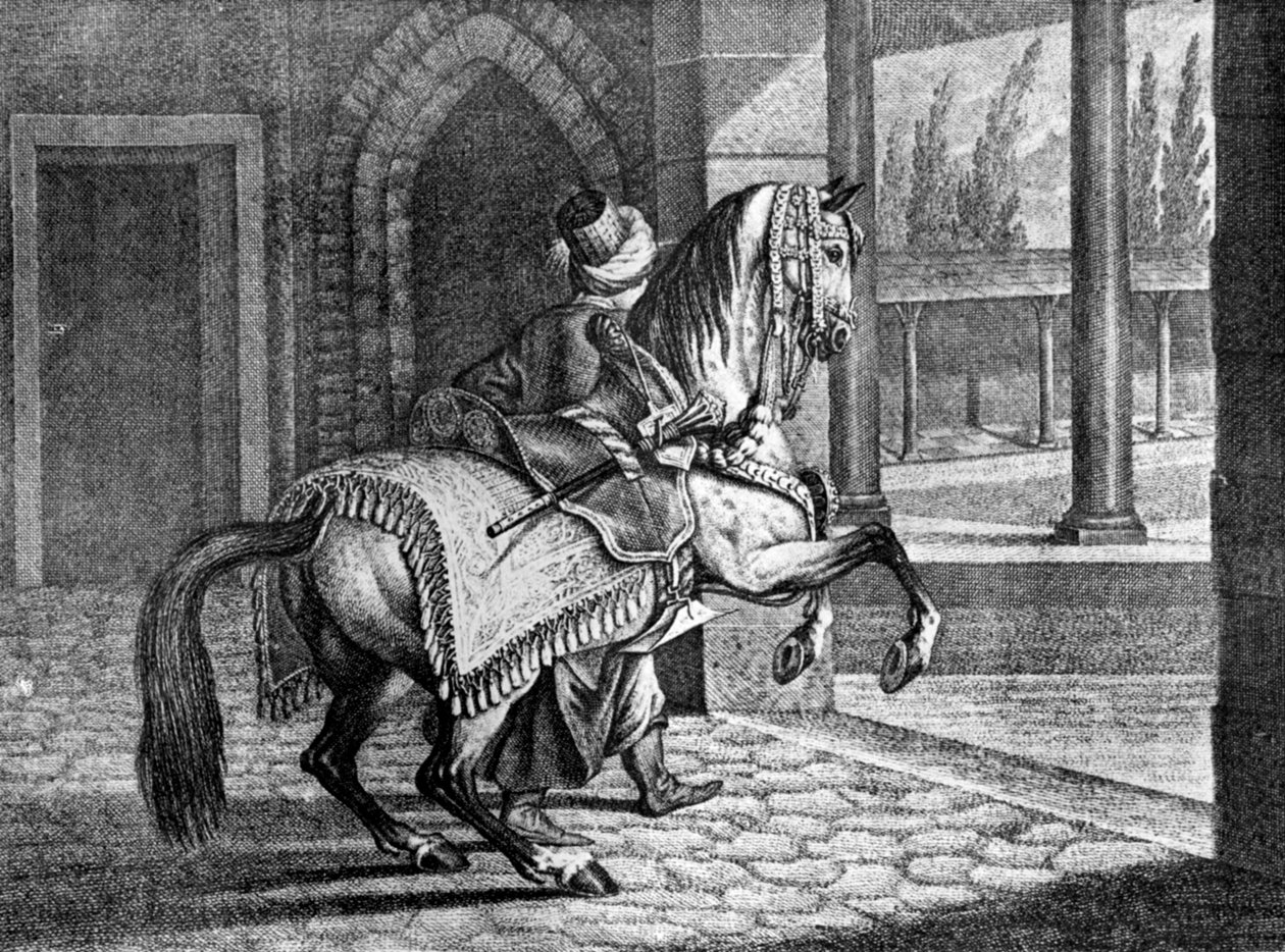 Tyrkiske sultaner Arabisk sadelhest, 1722, 1938 af Unbekannt