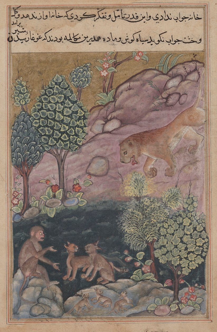 Tuti-Nama Tales of a Papegøje: Fortælling XXIX, Løven vender tilbage til sit territorium og se, ca. 1560. af Unbekannt