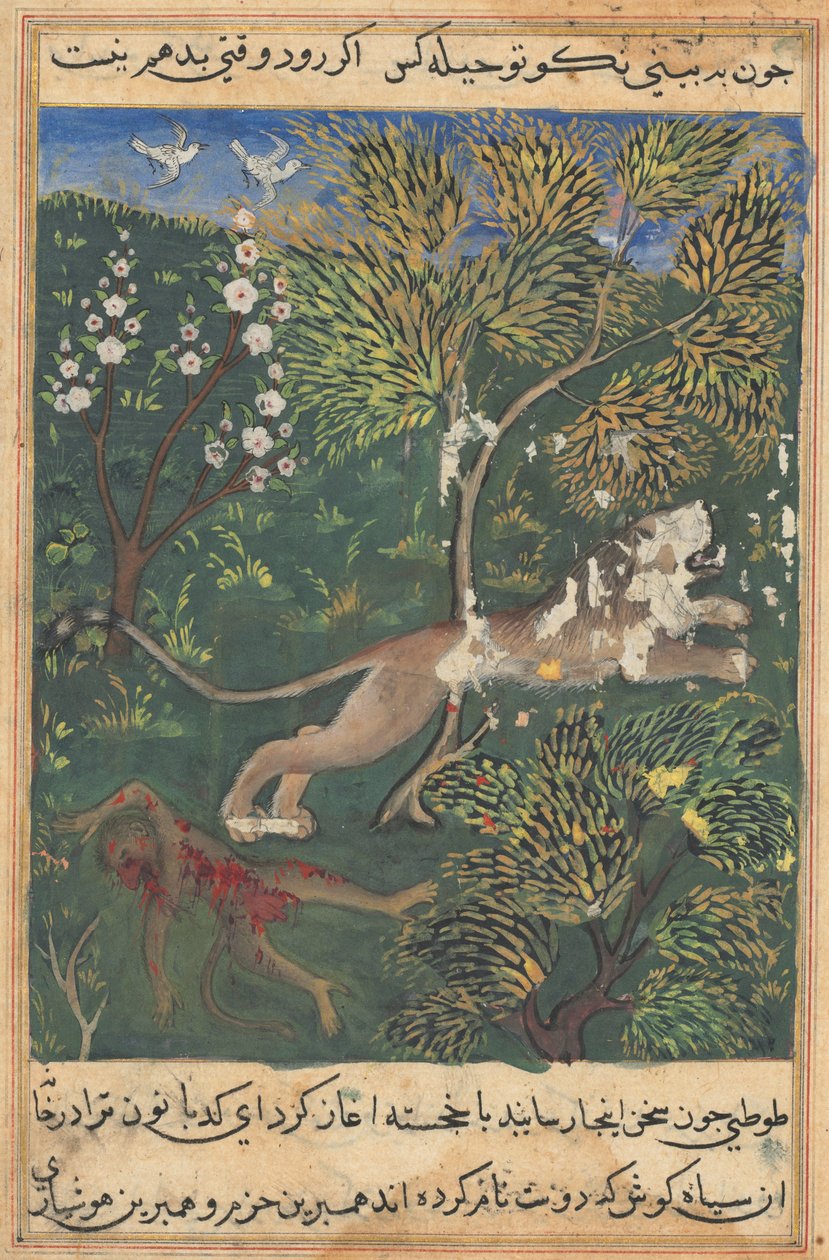 Tuti-Nama Tales of a Parrot: Tale XXIX, ca. 1560. af Unbekannt
