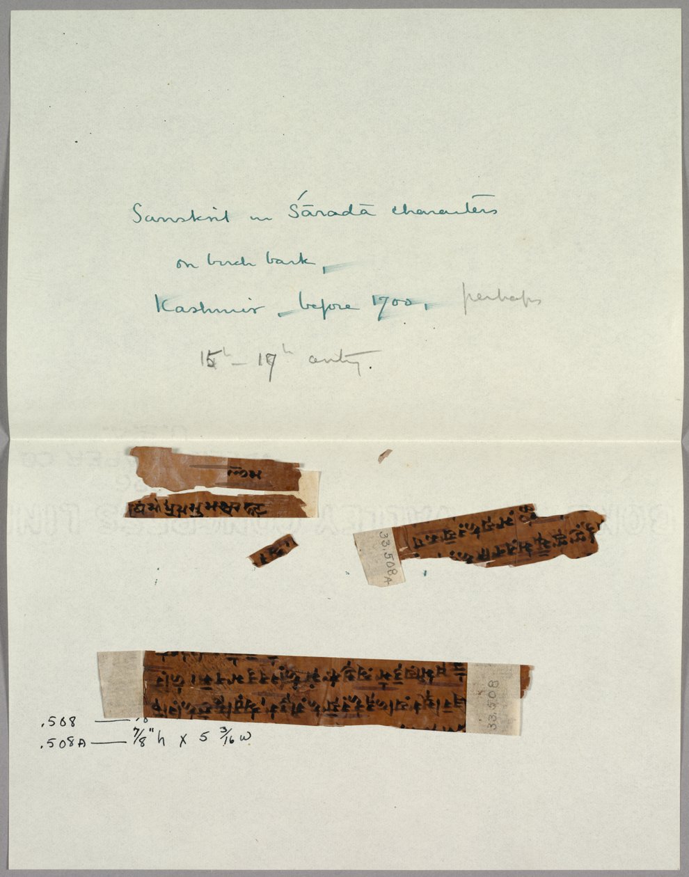 To Fragmenter af Bark med Sanskrit, før 1700. af Unbekannt