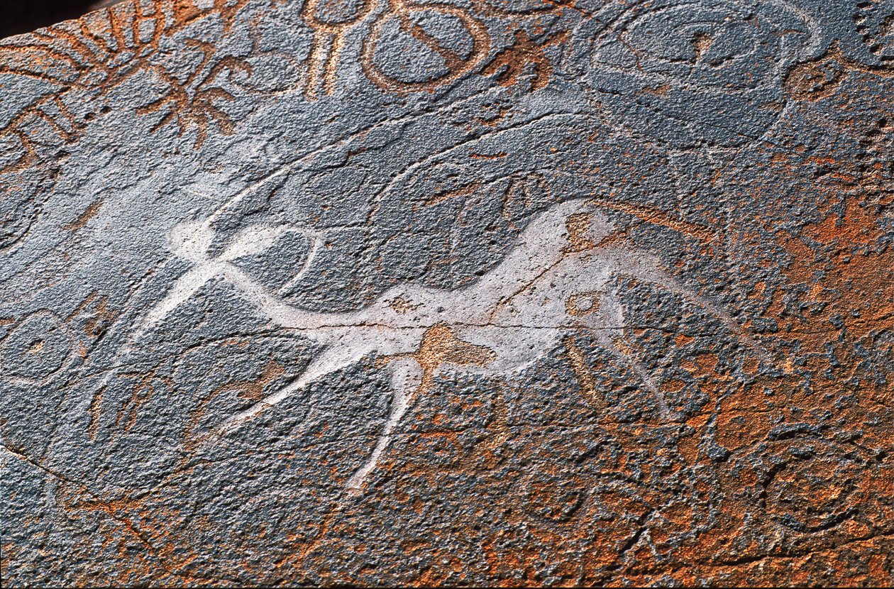 Twyfelfontein klippemalerier, DAMARALAND, NAMIBIA af Unbekannt