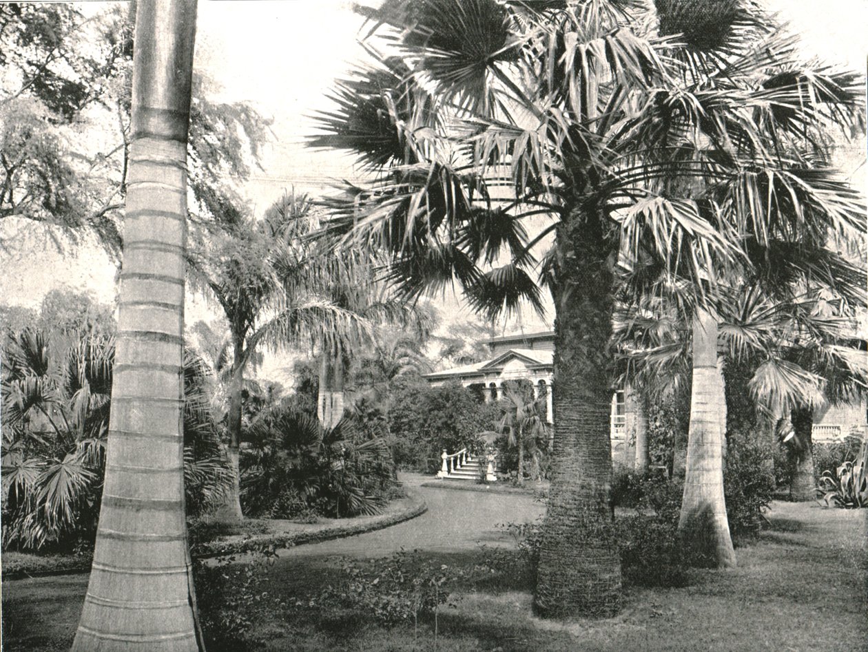 Typisk hawaiiansk gård, Honolulu, USA, 1895. af Unbekannt