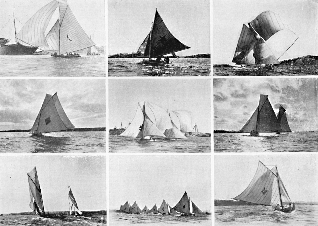 Typiske Sydney Harbour Yachting-scener, c1900. af Unbekannt