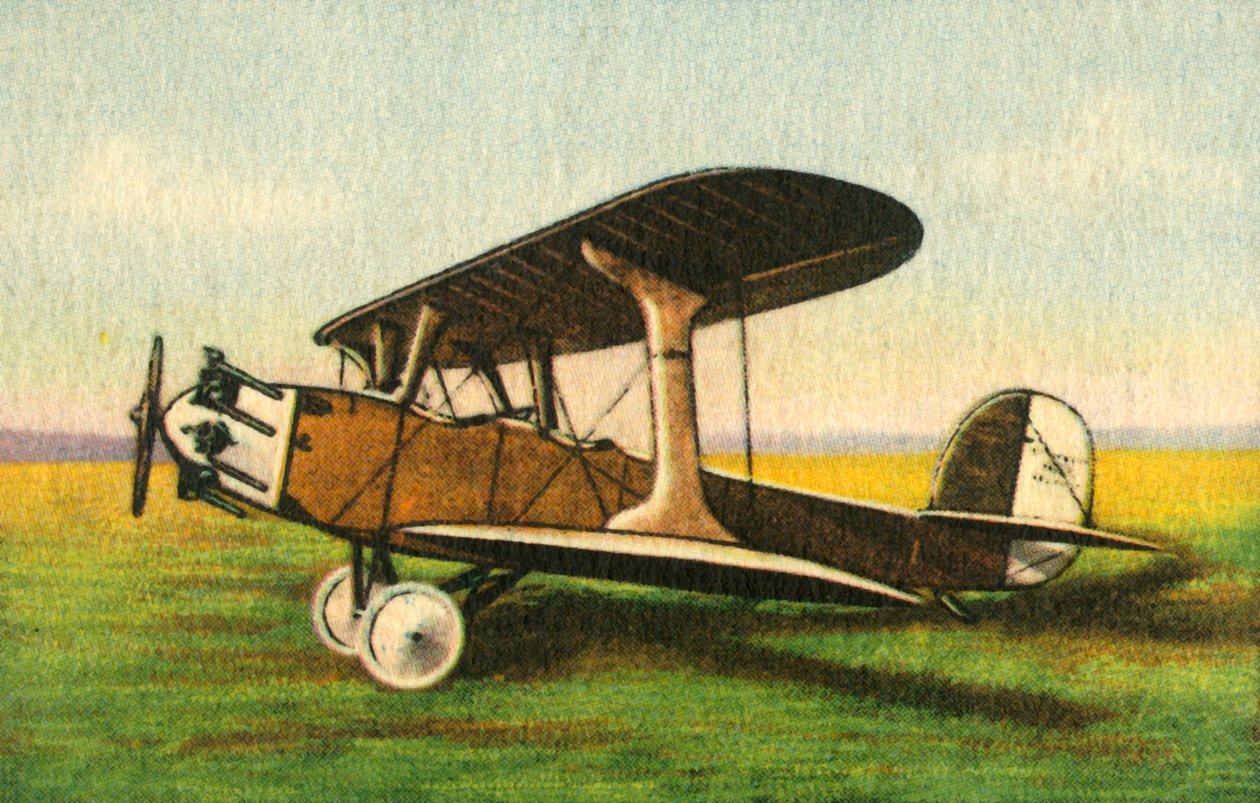 Udet U 12b Flamingo, 1920