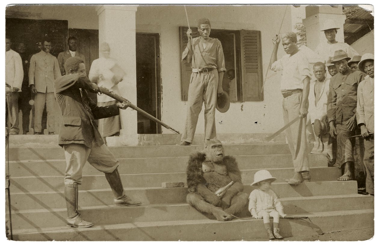 En tammet gorilla, ca. 1910 (s/h-billede) af Unbekannt