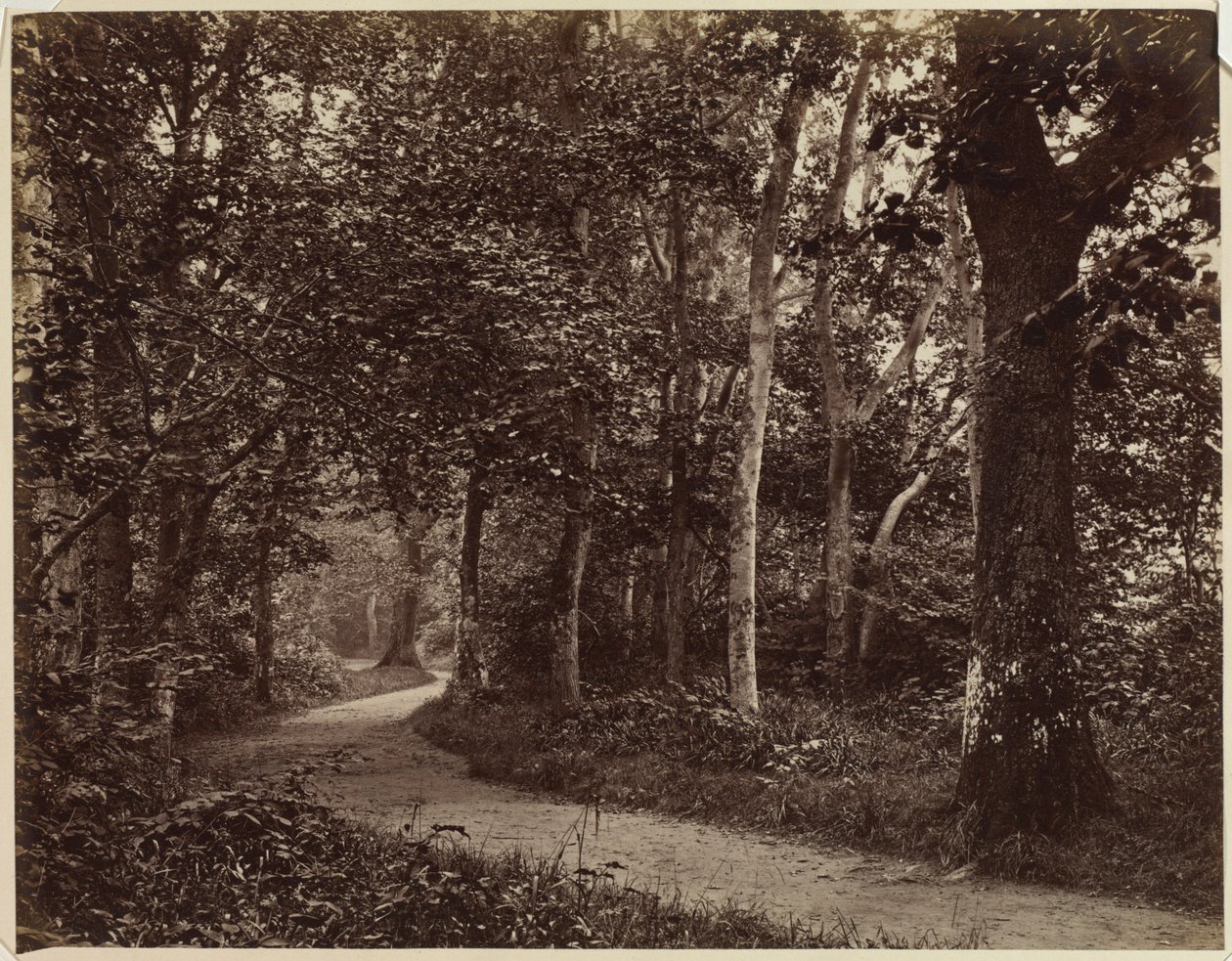 Uden titel Landskab, begyndelsen af 1860