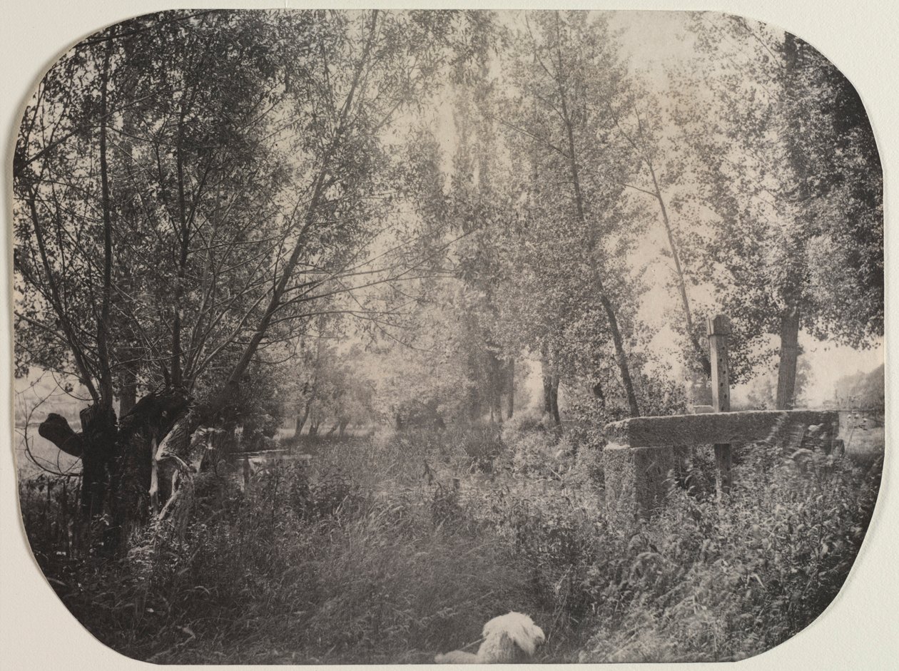 Uden titel Landskab med Hund, ca. 1910. af Unbekannt
