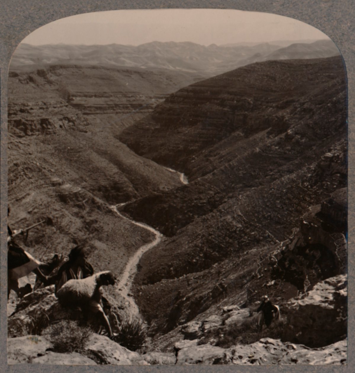 Arnodalen, hyrde og får i forgrunden, c1900 af Unbekannt