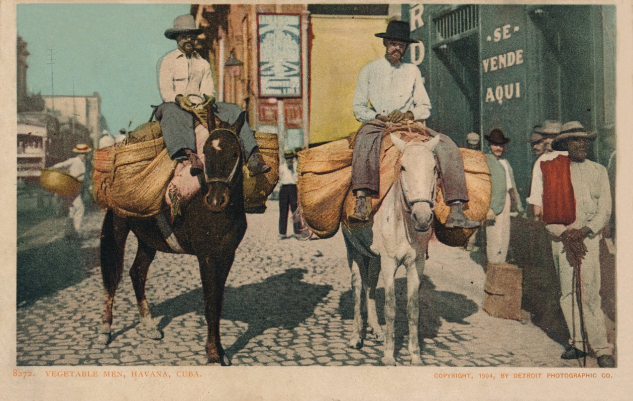 Grøntsagsmænd, Havana, Cuba, 1904 af Unbekannt
