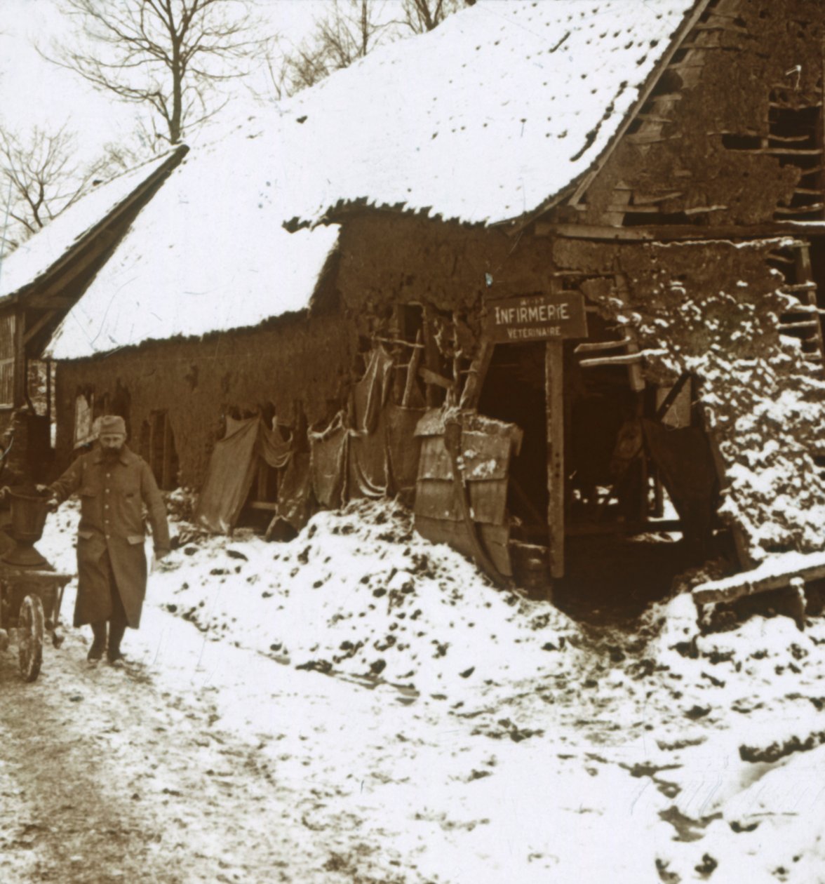 Veterinærstation for heste, Calonne, Nordfrankrig, c1914-c1918 af Unbekannt